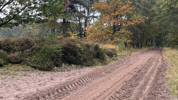 Forst Klövensteen Reitwege für herbstliche Ausritte vorbereitet 